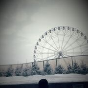 ���������� ������, ���� ����� ������, 25 ���, ������������ ��� ������, ����� � ���������