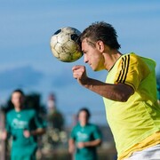 ���������� �����, ���� ������� �������, 41 ���, ������������ ��� ������, ����� � ���������