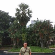  ,   Murod, 47 ,   ,   , c , 