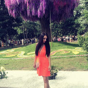 ���������� ����, ���� ������� �����, 33 ����, ������������ ��� ����� � ���������, c�������� ���������