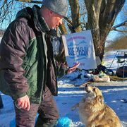 ���������� �����, ���� ������� ProNik, 44 ����, ������������ ��� ������, ����� � ���������, c�������� ���������