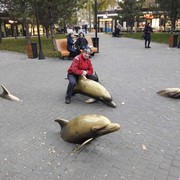 ���������� ������, ���� ������� ��������, 41 ���, ������������ ��� ������, ����� � ���������, c�������� ���������