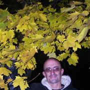  ,   , 51 ,   