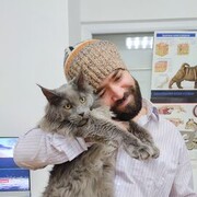  ,   , 33 ,   ,   , c , 