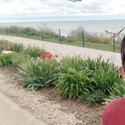  ,  Darxan, 29