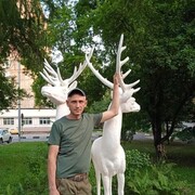 ���������� ������, ���� ������� �������, 48 ���, ������������ ��� ������, ����� � ���������, c�������� ���������, ���������