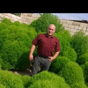 ���������� ������, ���� ������� �����, 51 ���, ������������ ��� ������, c�������� ���������