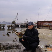 ���������� ��������, ���� ������� �������, 36 ���, ������������ ��� ������, ����� � ���������, c�������� ���������