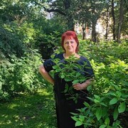  -,   , 49 ,   c 