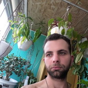 ���������� �������, ���� ������� ������, 41 ���, ������������ ��� ������, ����� � ���������, c�������� ���������