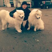 ���������� �����, ���� ������� ������, 31 ���, ������������ ��� ������, ����� � ���������