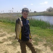 ���������� ���������, ���� ������� ����, 38 ���, ������������ ��� ������, ����� � ���������, c�������� ���������