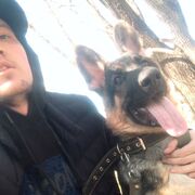 ���������� ����-�����������, ���� ������� ����, 26 ���, ������������ ��� ������, ����� � ���������