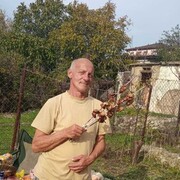 ���������� ������������, ���� ������� �������, 56 ���, ������������ ��� c�������� ���������