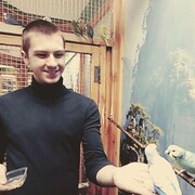 ���������� ����, ���� ������� ����, 31 ���, ������������ ��� ������, ����� � ���������, c�������� ���������