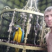 ���������� ���������, ���� ������� �����, 36 ���, ������������ ��� ������, ����� � ���������, c�������� ���������, ���������