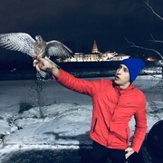 ���������� ��������, ���� ������� ����, 33 ����, ������������ ��� ������, ����� � ���������, c�������� ���������