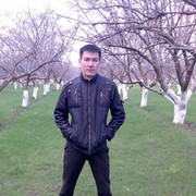 ���������� ������, ���� ������� Nureke, 38 ���, ������������ ��� ����� � ���������, c�������� ���������