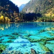 ���������� �����-���������, ���� ������� �����, 55 ���, ������������ ��� ������, ����� � ���������, c�������� ���������