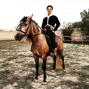 ���������� ������-��-����, ���� ������� ���������, 28 ���, ������������ ��� ������, ����� � ���������