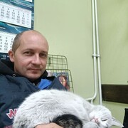 ���������� ������, ���� ������� �����, 37 ���, ������������ ��� ������, ����� � ���������