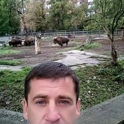 ���������� �����������, ���� ������� ����, 43 ����, ������������ ��� ������, ����� � ���������, c�������� ���������