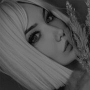 ���������� �������, ���� ������� ���������, 26 ���, ������������ 