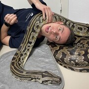 ���������� �����-���������, ���� ������� ������, 30 ���, ������������ ��� ������, ����� � ���������