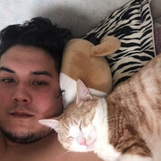 ���������� �������, ���� ������� ����, 30 ���, ������������ ��� ������, ����� � ���������, ���������