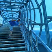 ���������� �������, ���� ������� �����, 41 ���, ������������ ��� ����� � ���������, c�������� ���������, ���������