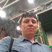  ,   , 51 ,   