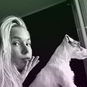 ���������� �����, ��������