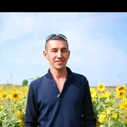 ���������� ������������, ���� ������� Yan, 45 ���, ������������ ��� ������, ����� � ���������