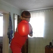  -,   , 33 ,  