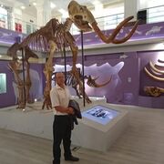  ,   , 48 ,   ,   , c , 