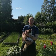 ���������� �������, ���� ������� ����, 33 ����, ������������ ��� ������, ����� � ���������, c�������� ���������, ���������