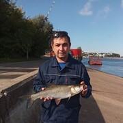  ,   , 38 ,   