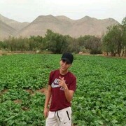 ���������� �����, ���� ����� Abdelhadi, 24 ����, ������������ ��� ������, ����� � ���������