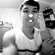  ,   Snurbek, 33 ,   ,   , c 
