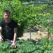 ���������� ��������, ������� ������, 43