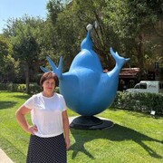 ���������� �������, ���� ������� �������, 54 ����, ������������ ��� c�������� ���������