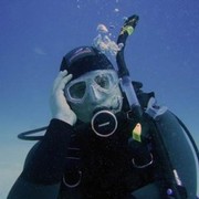 ���������� ����, ���� ������� ����������, 39 ���, ������������ ��� ����� � ���������, c�������� ���������