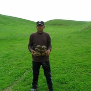 ���������� �����������, ���� ������� Wwww TJK, 31 ���, ������������ ��� ������, ����� � ���������, c�������� ���������, ���������