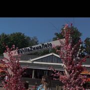 ���������� �����-���������, ���� ������� ������, 30 ���, ������������ ��� ������, ����� � ���������