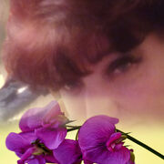  ,   , 52 ,   c 