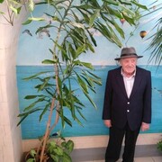 ���������� ������, ���� ������� ��������, 76 ���, ������������ ��� ������, ����� � ���������, c�������� ���������, ���������