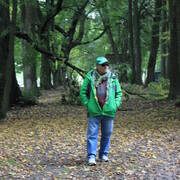  ,   , 62 ,   ,   , 