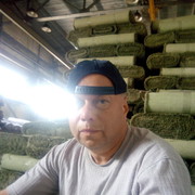  ,   , 51 ,   
