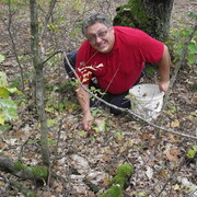 ���������� ������, ���� ������� �����, 53 ����, ������������ ��� ������, ����� � ���������, c�������� ���������