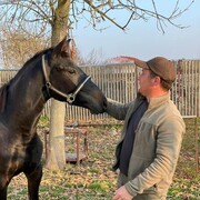  ,   Murat, 40 ,   ,   
